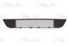 FORD 1211728 Radiator Grille